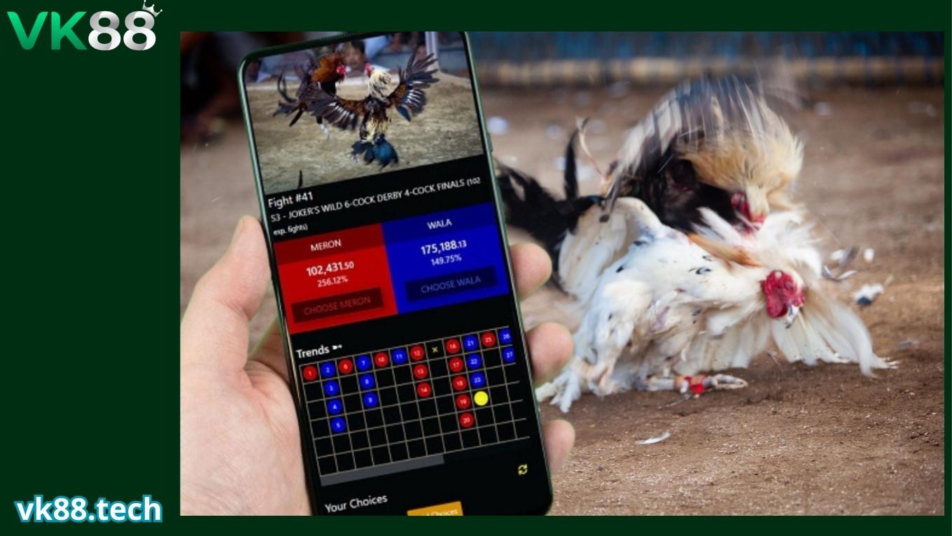 Chiến thuật chơi đá gà thomo hiệu quả