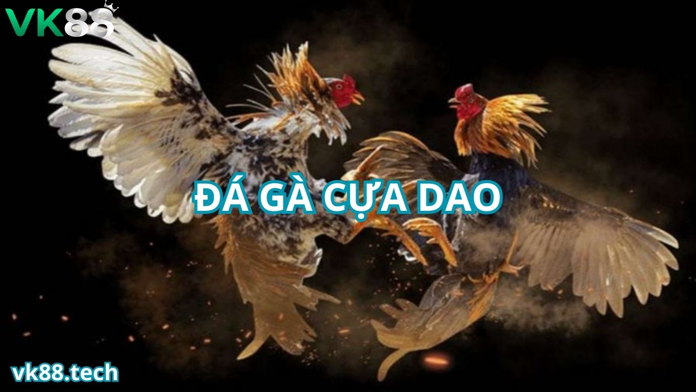 Khám phá ưu điểm của đá gà cựa dao tại VK88