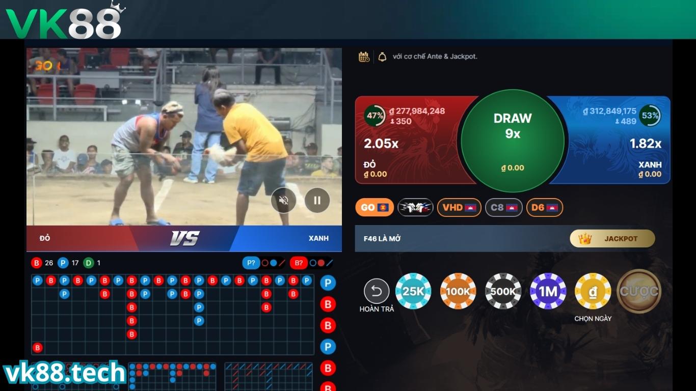 Kinh nghiệm đặt cược đá gà VK88 hiệu quả