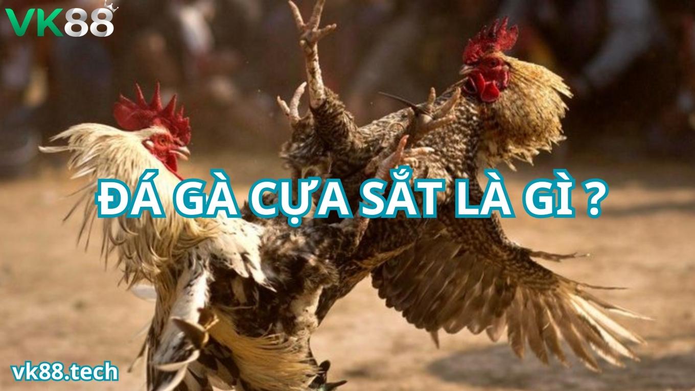 Tìm hiểu về đá gà cựa sắt